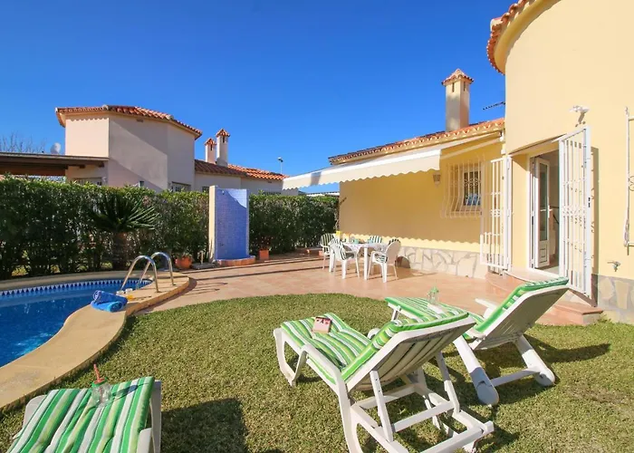 Nova Ql By Carlosferien * 奥利瓦